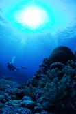 Layang Layang Scuba Diving Holiday